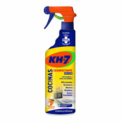 Virtuves tīrītājs KH7 750 ml cena un informācija | Tīrīšanas līdzekļi | 220.lv