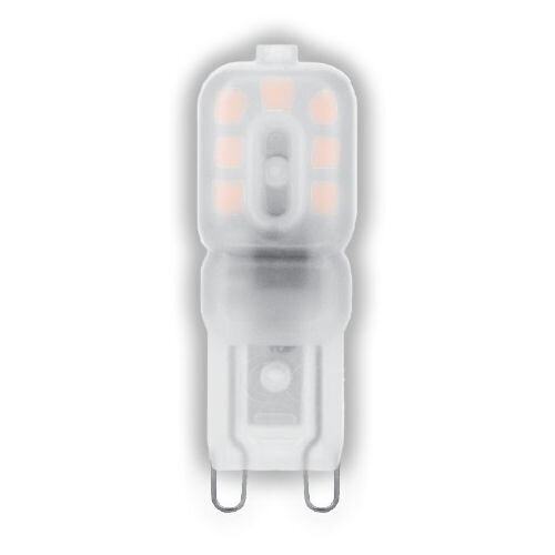 LED spuldze Avide 2,5W G9, 3000K cena un informācija | Spuldzes | 220.lv