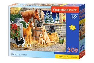 Castorland Gathering Friends Puzzle, 300 gabaliņi cena un informācija | Puzles, 3D puzles | 220.lv