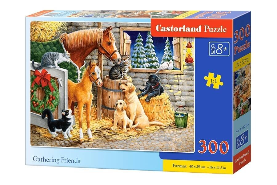 Castorland Gathering Friends Puzzle, 300 gabaliņi cena un informācija | Puzles, 3D puzles | 220.lv