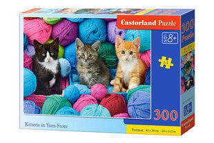 Castorland Kaķēni Yar veikalā Puzzle, 300 gabaliņi cena un informācija | Puzles, 3D puzles | 220.lv