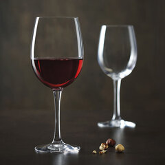 Vīna glāze Tulip Cabernet 6 gb. cena un informācija | Glāzes, krūzes, karafes | 220.lv