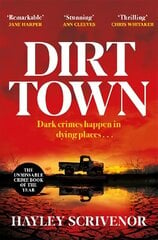 Dirt Town цена и информация | Фантастика, фэнтези | 220.lv