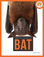 Spotlight on Nature: Bat цена и информация | Книги для подростков  | 220.lv