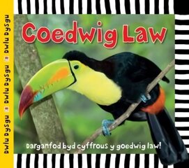 Cyfres Dwlu Dysgu: Coedwig Law цена и информация | Книги для подростков  | 220.lv