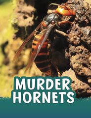 Murder Hornets cena un informācija | Grāmatas pusaudžiem un jauniešiem | 220.lv