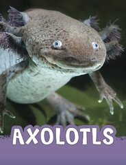 Axolotls cena un informācija | Grāmatas pusaudžiem un jauniešiem | 220.lv