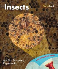 Insects цена и информация | Книги для подростков и молодежи | 220.lv