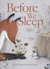 Before We Sleep cena un informācija | Grāmatas mazuļiem | 220.lv