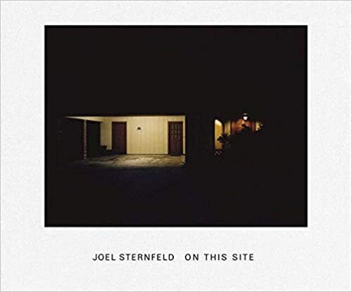 Joel Sternfeld: On this Site цена и информация | Grāmatas par fotografēšanu | 220.lv