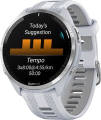 Garmin Forerunner® 965 Whitestone/Powder Grey цена и информация | Смарт-часы (smartwatch) | 220.lv