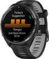 Garmin Forerunner® 965 Black/Powder Grey cena un informācija | Viedpulksteņi (smartwatch) | 220.lv