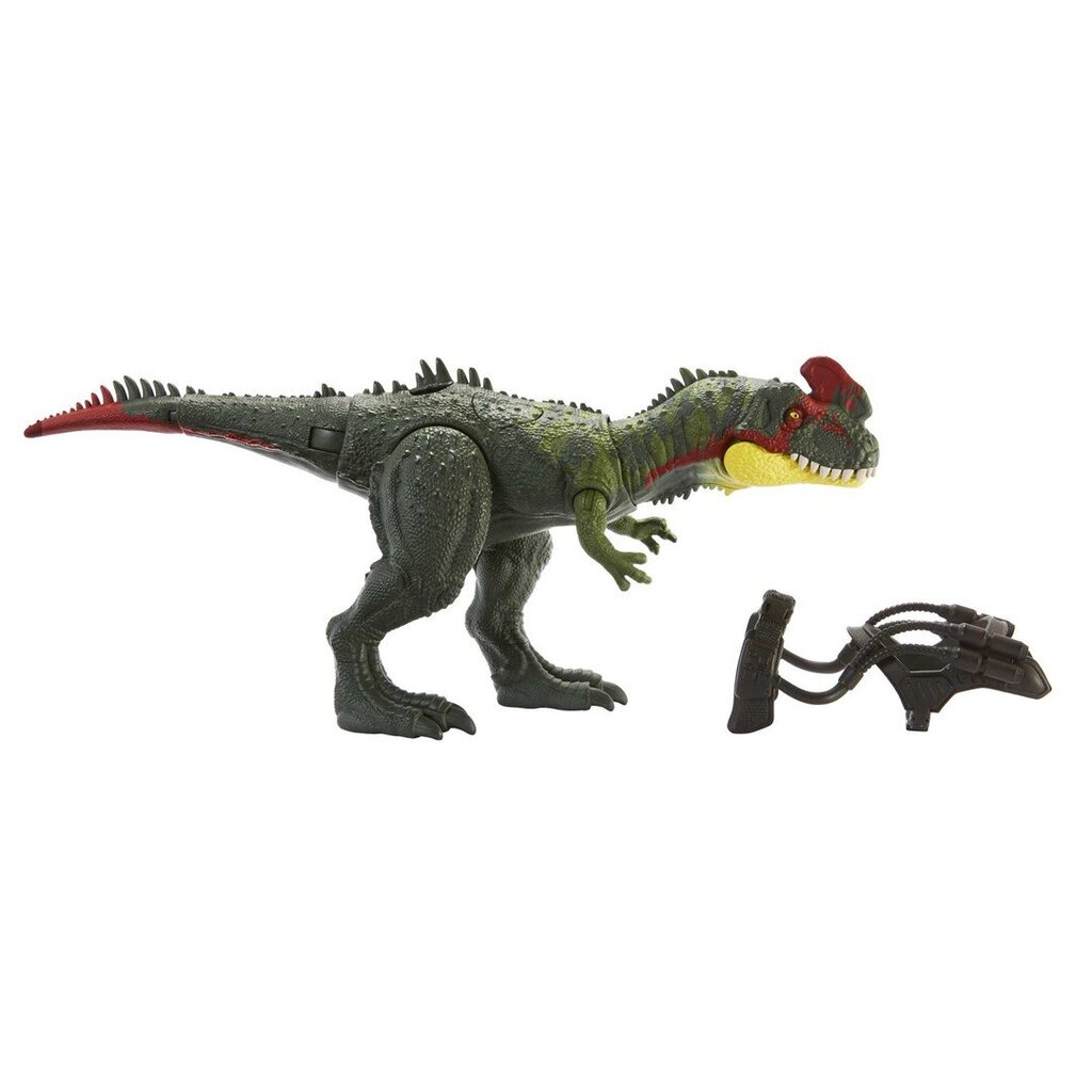 Dinozaurs Jurassic World Sinotyrannus Native цена и информация | Rotaļlietas zēniem | 220.lv