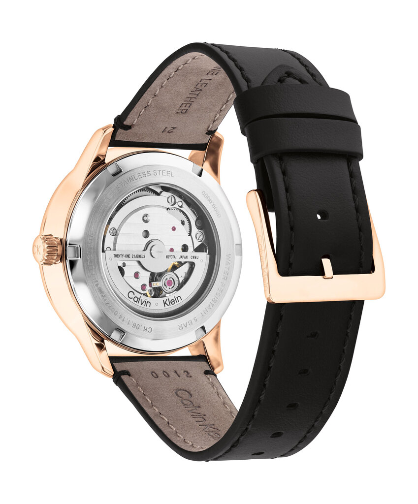 Sieviešu rokas pulkstenis Calvin Klein 25200074 cena un informācija | Vīriešu pulksteņi | 220.lv