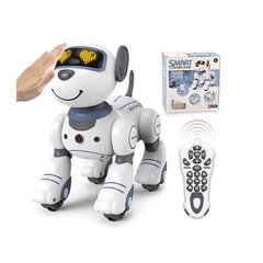 Robotsuns, kuru kontrolē radioviļņi, RC robot dog cena un informācija | Rotaļlietas zēniem | 220.lv