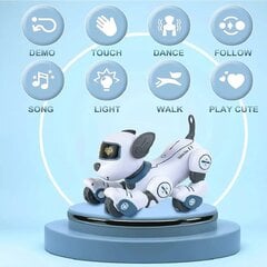 Robotsuns, kuru kontrolē radioviļņi, RC robot dog cena un informācija | Rotaļlietas zēniem | 220.lv