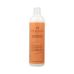 Kondicionieris Inahsi Tropical Escape Cleansing CoWash (454 g) cena un informācija | Matu kondicionieri, balzāmi | 220.lv