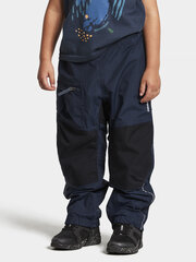 Детские весенне-осенние брюки Didriksons IDUR, темно-синий цвет цена и информация | Штаны для мальчиков | 220.lv