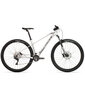 Kalnu velosipēds Rock Machine 29 Torrent 50-29 sudrabs (L) cena un informācija | Velosipēdi | 220.lv