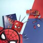 3D skolas soma Spiderman (9 x 30 x 30 cm) cena un informācija | Skolas somas | 220.lv