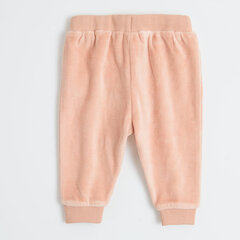 Cool Club штаны для девочек, CCG2501610 цена и информация | Штаны для девочек | 220.lv