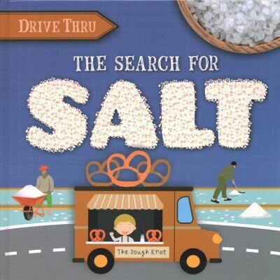 Search for Salt цена и информация | Grāmatas pusaudžiem un jauniešiem | 220.lv