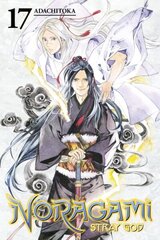 Noragami: Stray God 17, Volume 17 cena un informācija | Fantāzija, fantastikas grāmatas | 220.lv