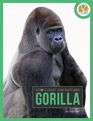 Spotlight on Nature: Gorilla цена и информация | Книги для подростков  | 220.lv