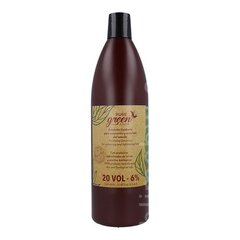 Капиллярный окислитель Emulsion Pure Green 20 Vol 6 %, 1000 мл цена и информация | Краска для волос | 220.lv