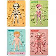 Koka magnētiskā puzle, cilvēka anatomija, Tooky Toy cena un informācija | Attīstošās rotaļlietas | 220.lv