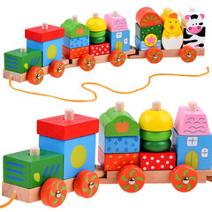 Koka vilciens ar vagoniem cena un informācija | Rotaļlietas zīdaiņiem | 220.lv