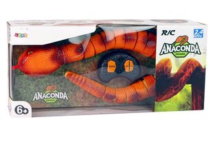 Lean Toys Змея анаконда на дистанционном управлении, оранжевый цена и информация | Игрушки для мальчиков | 220.lv