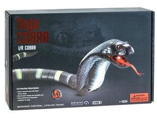 Tālvadības pults vadāma violeta čūska Cobra cena un informācija | Rotaļlietas zēniem | 220.lv