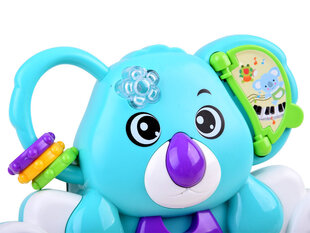 Koala - klavieres цена и информация | Развивающие игрушки | 220.lv
