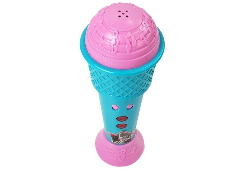 Zils bērnu karaoke mikrofons cena un informācija | Attīstošās rotaļlietas | 220.lv