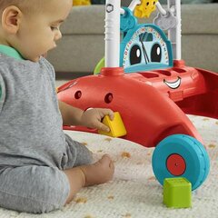 Ходунки на колесах Mattel Fisher-Price Steady Speed цена и информация | Игрушки для малышей | 220.lv