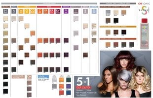 Постоянная краска Chi Ionic Shine Shades Farouk 11W цена и информация | Краска для волос | 220.lv