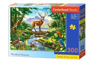 Castorland Woodland Harmony Puzzle, 300 gabaliņi cena un informācija | Puzles, 3D puzles | 220.lv