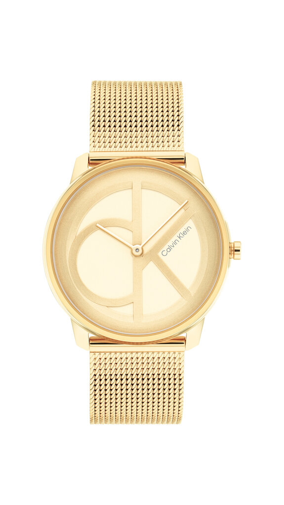 Sieviešu rokas pulkstenis Calvin Klein 25200034 cena un informācija | Sieviešu pulksteņi | 220.lv