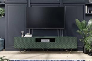 ТВ столик Bogart Scalia 2K1SZ, зеленый цена и информация | Тумбы под телевизор | 220.lv
