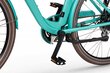 Elektriskais velosipēds Ecobike Traffic 14,5 Ah Greenway, zils цена и информация | Elektrovelosipēdi | 220.lv