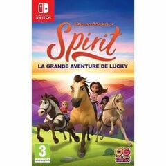 Видеоигра для Switch Bandai SPIRIT - The Great Lucky Adventure цена и информация | Компьютерные игры | 220.lv