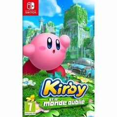 Видеоигра для Switch Nintendo Kirby and the Forgotten World цена и информация | Компьютерные игры | 220.lv