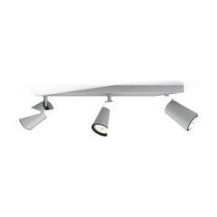 Griestu lampa Philips Paisley (44,3 x 11,8 x 9,2 cm) цена и информация | Потолочные светильники | 220.lv