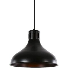 Griestu lampa EDM 32111 60 W (30 x 25 cm) cena un informācija | Lustras | 220.lv