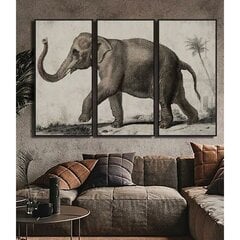 Canvas DKD Home Decor 3 Daudzums Zilonis Koloniāls (180 x 4 x 120 cm) cena un informācija | Gleznas | 220.lv