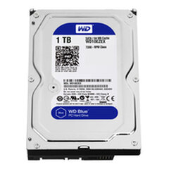 Cietais Disks Western Digital Blue 3,5" 1 TB cena un informācija | Iekšējie cietie diski (HDD, SSD, Hybrid) | 220.lv