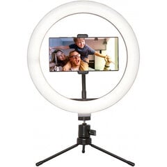 Platinet круговой осветитель PMRL8 Vlog LED Desktop 8" цена и информация | Держатели для телефонов | 220.lv