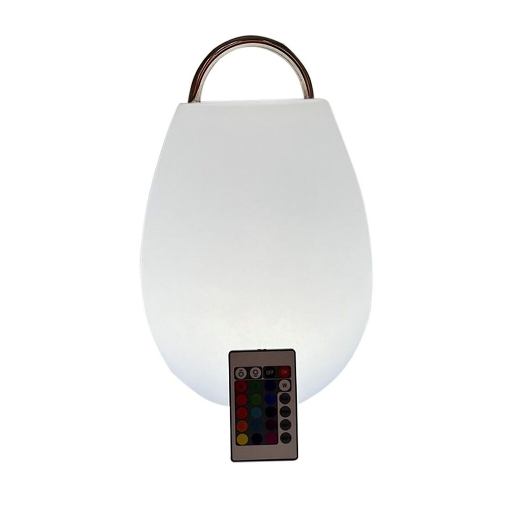 Solārā lampa DKD Home Decor (22 x 22 x 31,5 cm) цена и информация | Āra apgaismojums | 220.lv