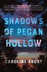 Shadows of Pecan Hollow: A Novel cena un informācija | Fantāzija, fantastikas grāmatas | 220.lv